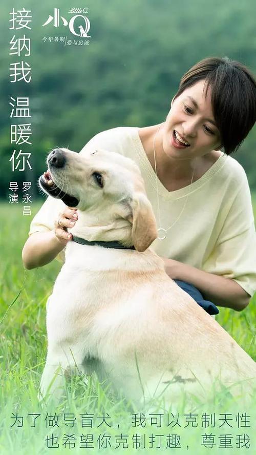 不动产证的每一页
